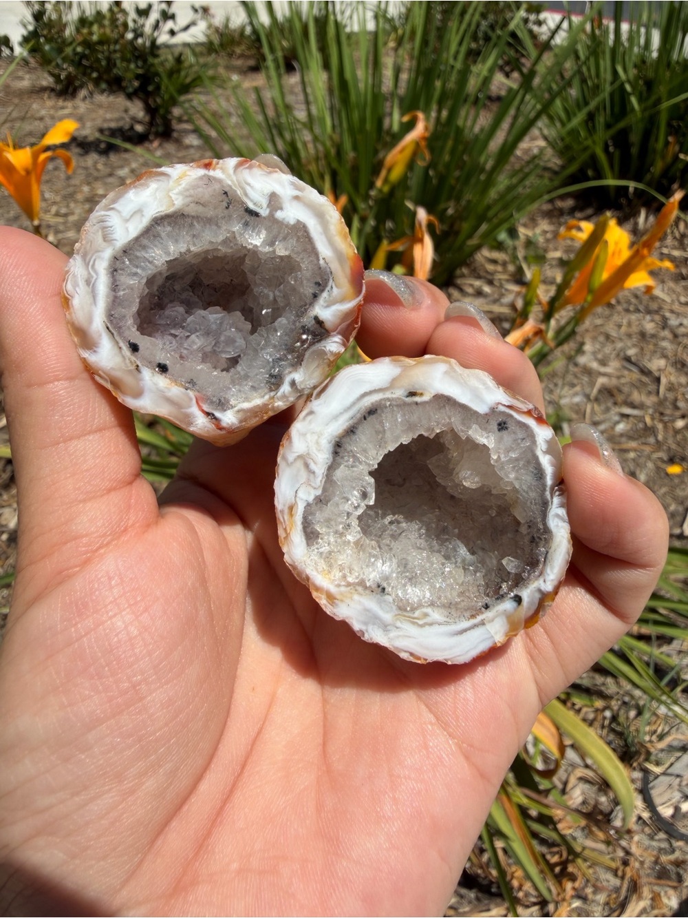 Natural Agate Geode Pair Druzy Quartz Crystal Matching Halves Specimen,A604